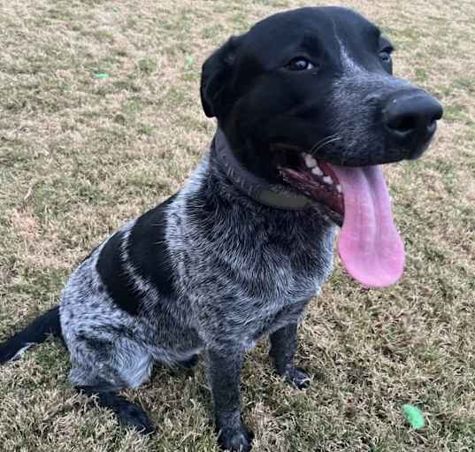 Photo of Jasper