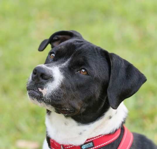 Photo of Ellie Mae