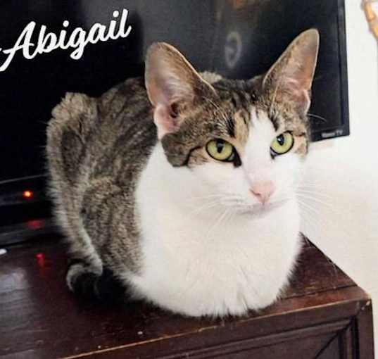 Photo of Abigail #olive-green-eyes