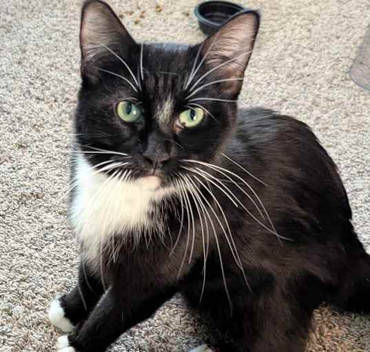 Photo of Sammy