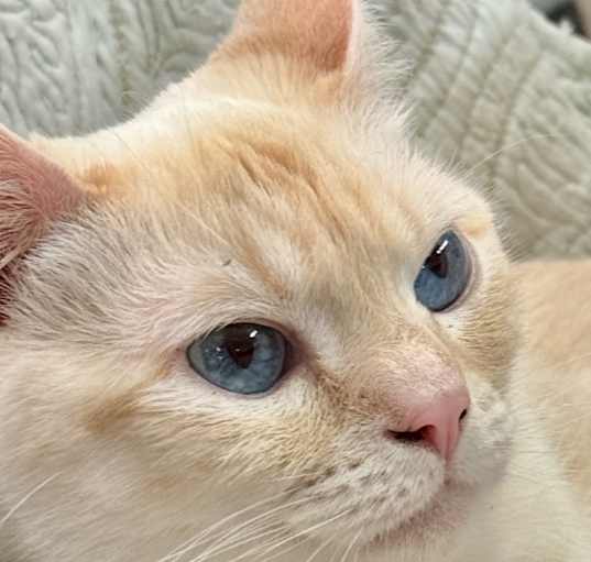 Photo of Handsome