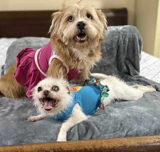 Photo of Misty & Lulu