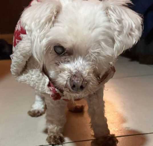 Photo of Madona
