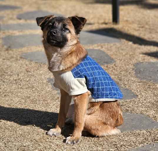 Photo of Thor