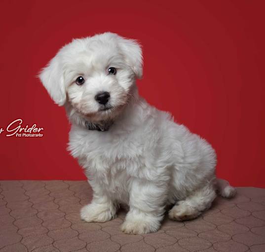 Photo of Armani