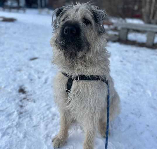 Photo of Walter
