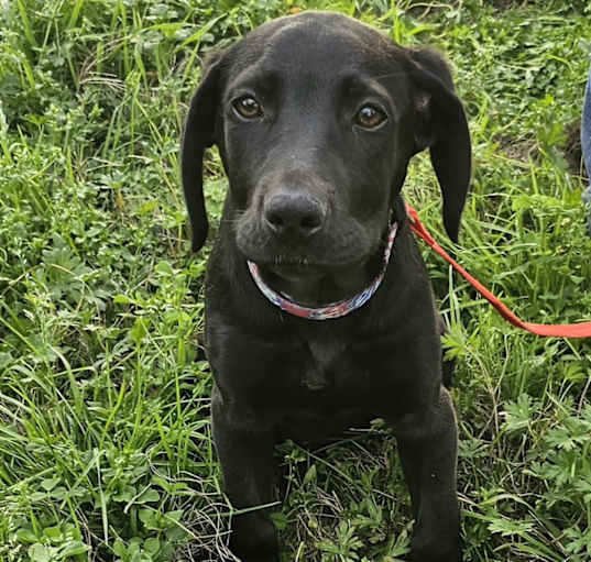 Photo of Delilah