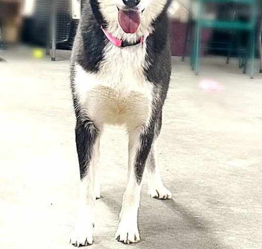 Photo of **WINNIE**