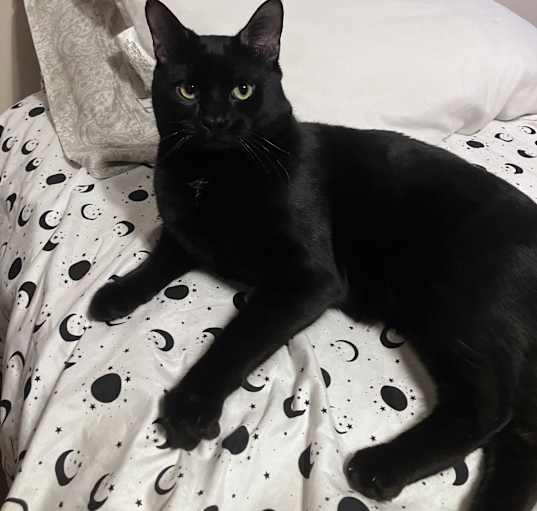 Photo of Jynx