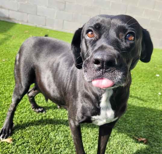 Photo of Lady J 3124
