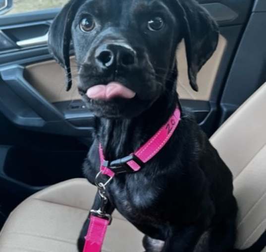 Photo of Bronx