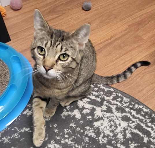 Photo of Kiwi