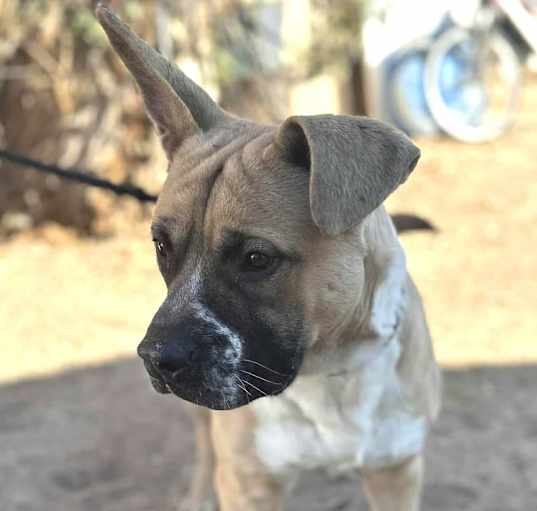 Photo of BILLY