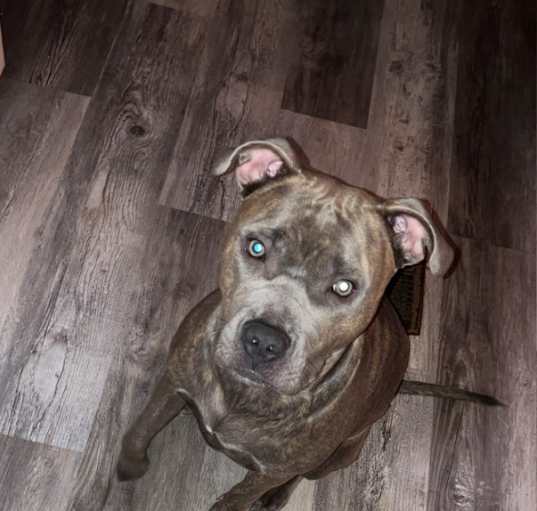 Photo of Zena