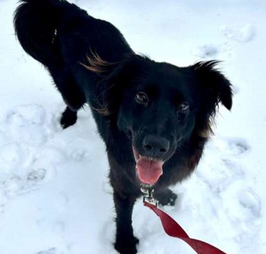 Photo of Brandy