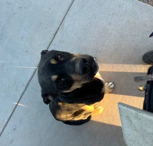 Photo of Jack
