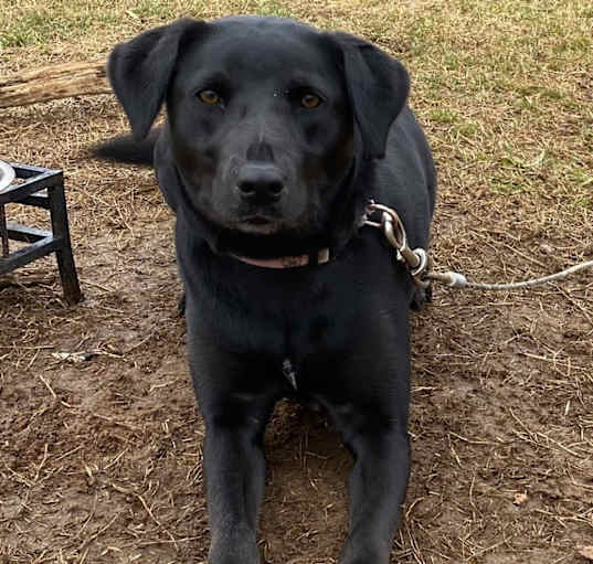 Photo of Sasha