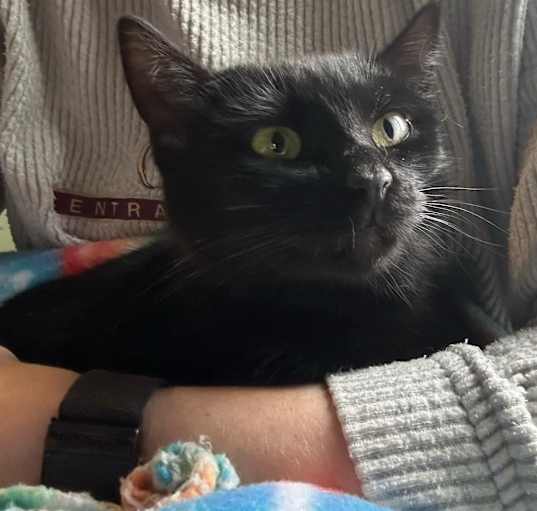 Photo of Adeline