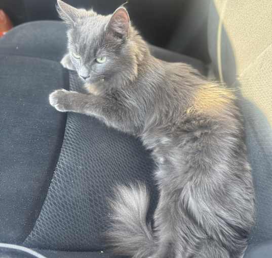 Photo of Wolfgang