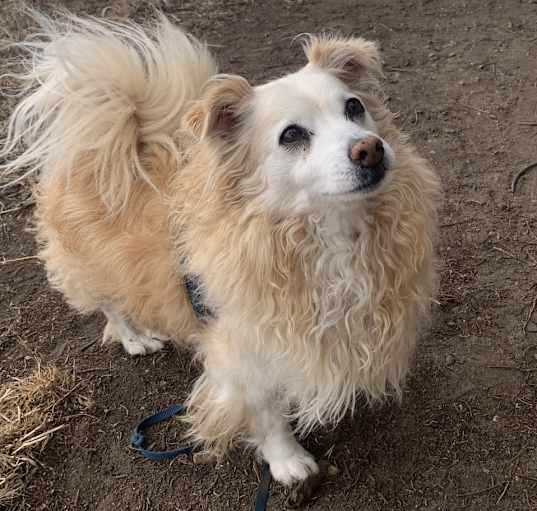 Photo of Happy
