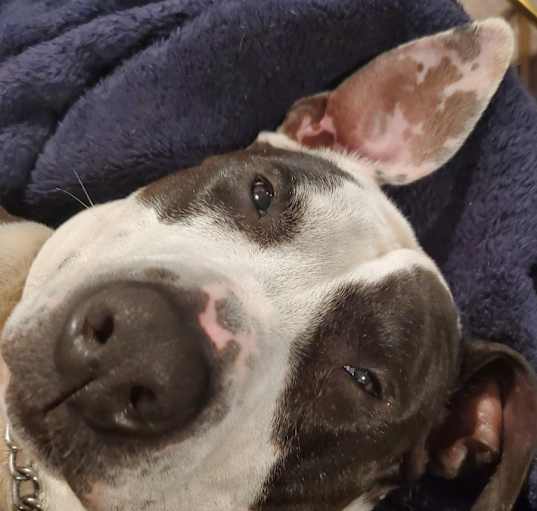 Photo of Tank