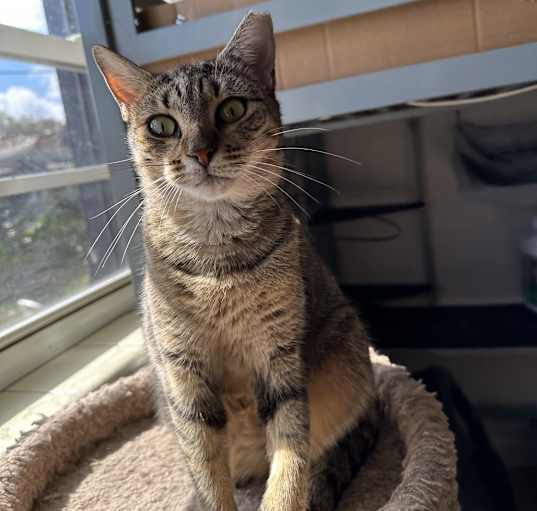 Photo of Macy