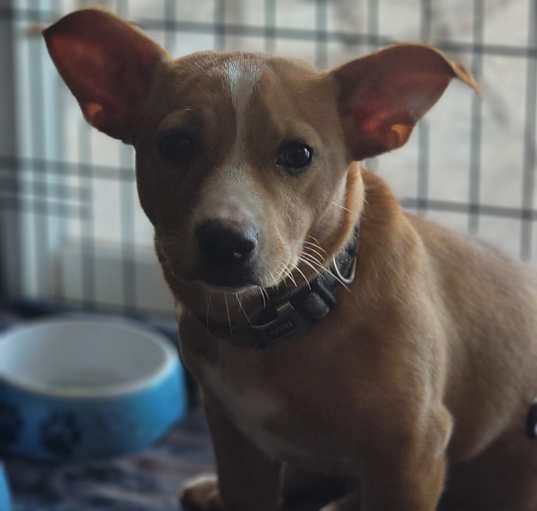 Photo of Norma