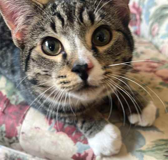Photo of Arthur