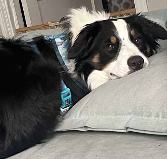 Photo of Daisey