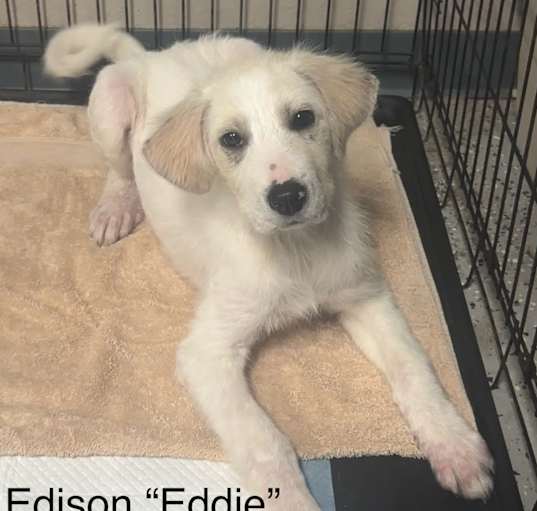 Photo of Eddie