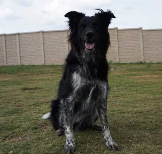 Photo of Walter