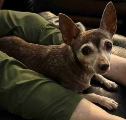 Photo of Coco