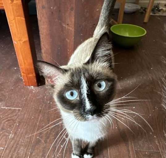 Photo of Keeper