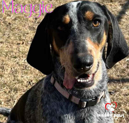 Photo of Maggie [Magnolia] (Courtesy Post)