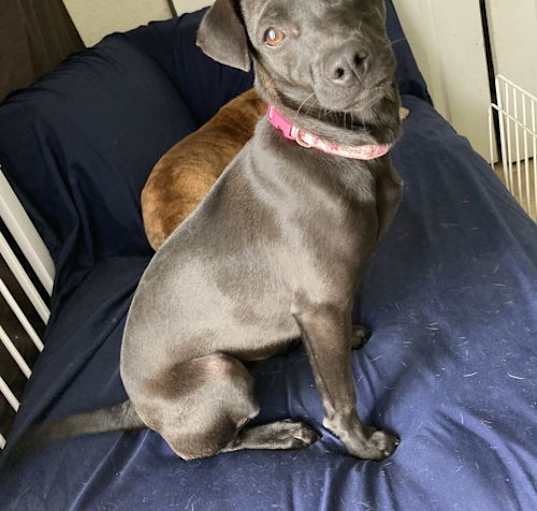 Photo of Lulu