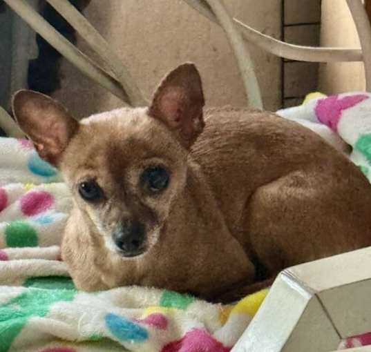 Photo of Margarita