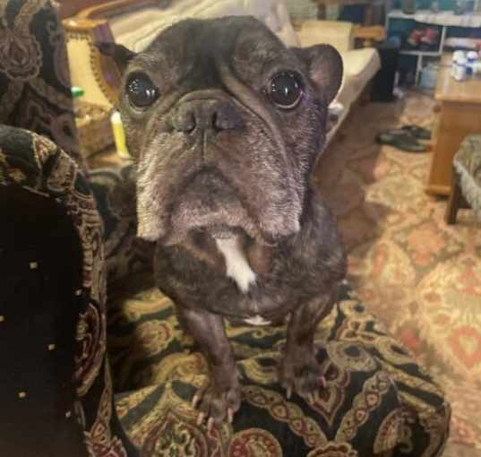 Photo of Marty