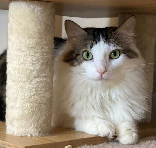 Photo of Charlie