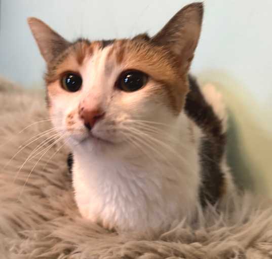 Photo of Olivia