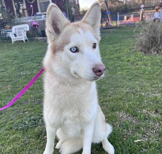 Photo of Mishka