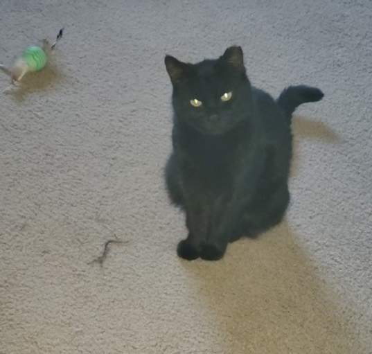 Photo of Zoe