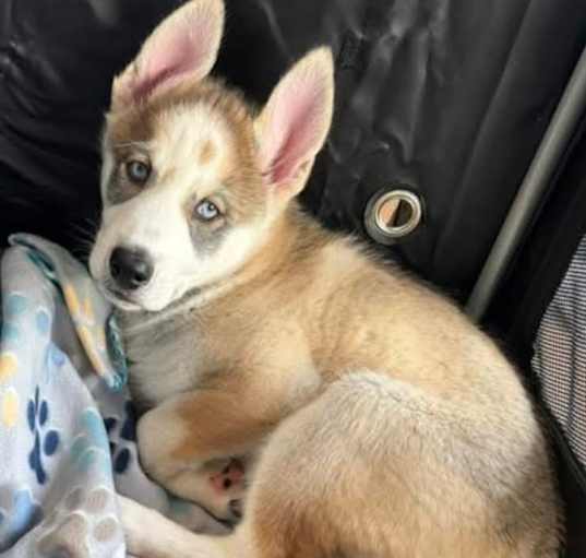 Photo of Olaf