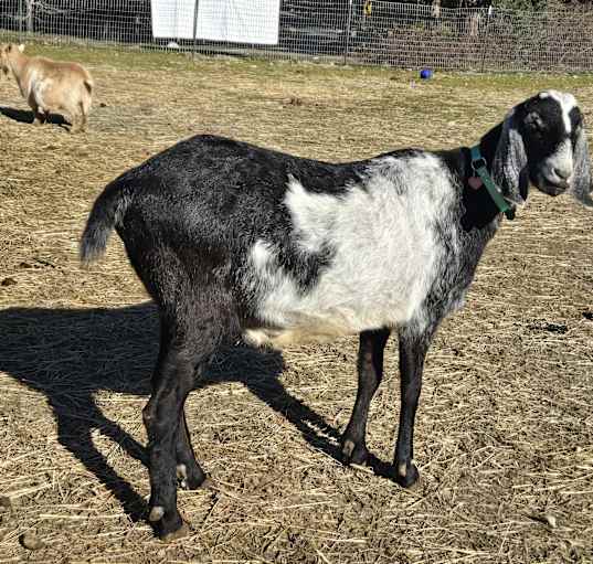 Photo of Spencer