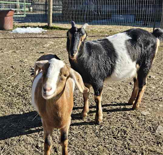 Photo of Pete and Grace