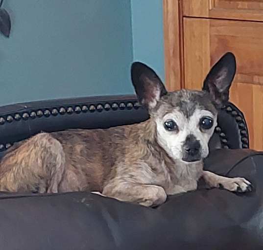 Photo of Lilly
