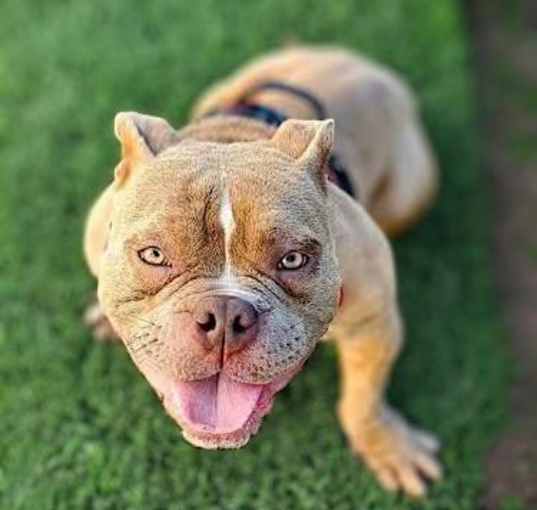 Photo of Cash