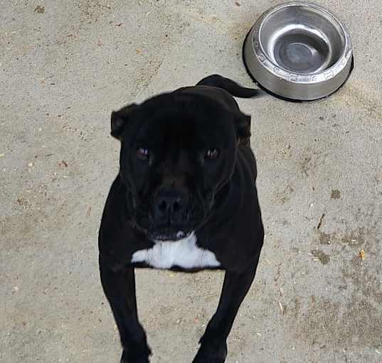 Photo of Sebastian
