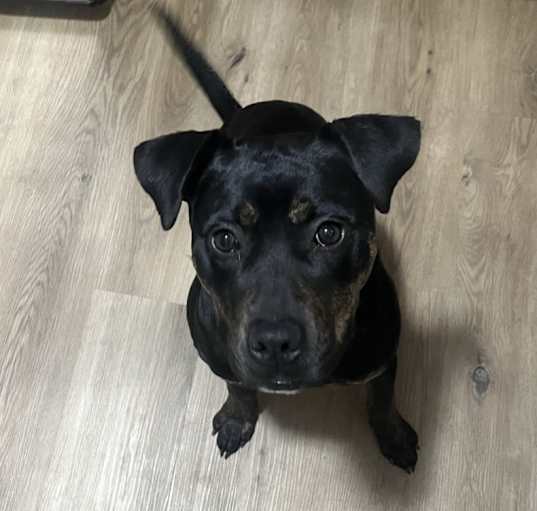 Photo of Zula