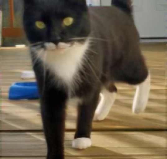 Photo of MAEVE
