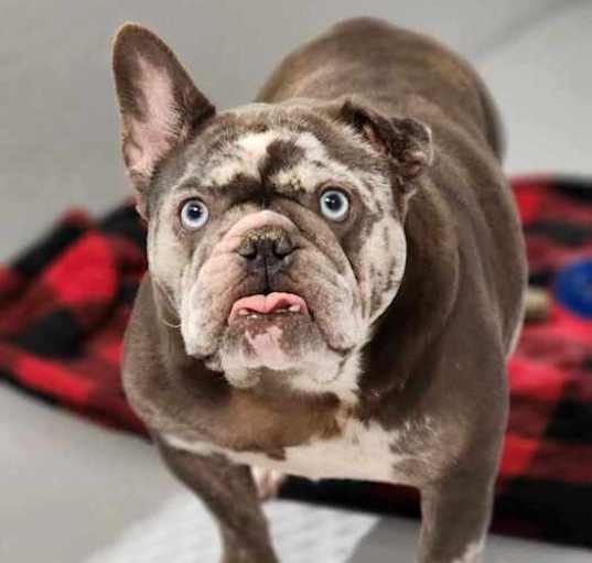 Photo of Bertha/Bertie